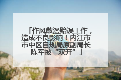 作风散漫贻误工作，造成不良影响！内江市市中区自规局原副局长陈军被“双开”