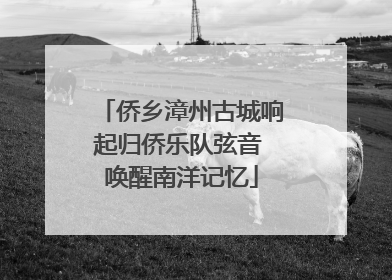侨乡漳州古城响起归侨乐队弦音 唤醒南洋记忆