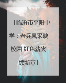 临汾市平阳中学：老兵风采映校园 红色薪火续新章