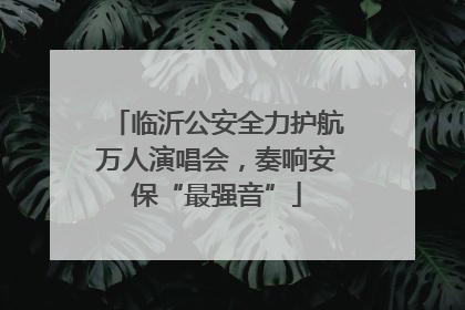 临沂公安全力护航万人演唱会，奏响安保“最强音”
