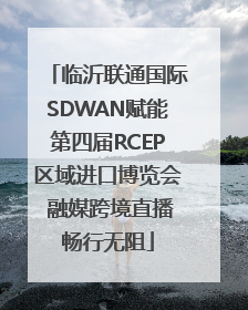 临沂联通国际SDWAN赋能第四届RCEP区域进口博览会 融媒跨境直播畅行无阻