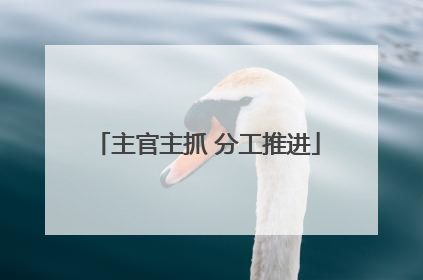 主官主抓 分工推进