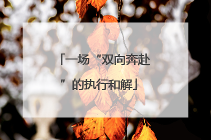 一场“双向奔赴”的执行和解
