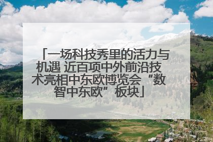 一场科技秀里的活力与机遇 近百项中外前沿技术亮相中东欧博览会“数智中东欧”板块