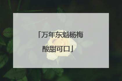 万年东魁杨梅 酸甜可口