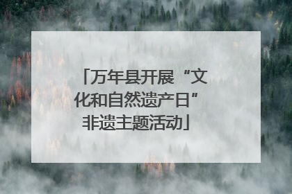 万年县开展“文化和自然遗产日”非遗主题活动