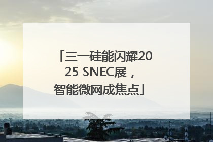 三一硅能闪耀2025 SNEC展，智能微网成焦点