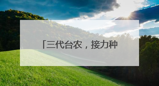 三代台农，接力种下“甜蜜事业”