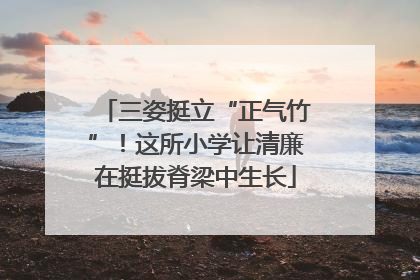 三姿挺立“正气竹”！这所小学让清廉在挺拔脊梁中生长