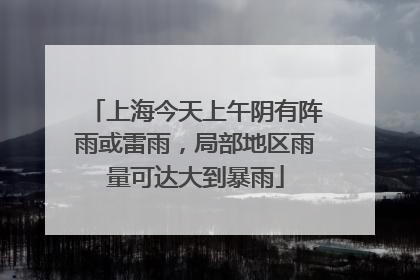 上海今天上午阴有阵雨或雷雨，局部地区雨量可达大到暴雨