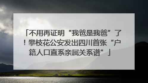 不用再证明“我爸是我爸”了！攀枝花公安发出四川首张“户籍人口直系亲属关系谱”