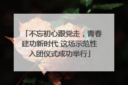 不忘初心跟党走，青春建功新时代 这场示范性入团仪式成功举行