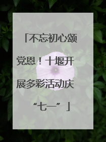 不忘初心颂党恩！十堰开展多彩活动庆“七一”