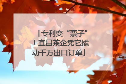 专利变“票子”！宜昌茶企凭它撬动千万出口订单