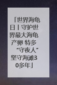 世界海龟日丨守护世界最大海龟产卵 特多“守夜人”坚守海滩30多年