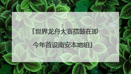 世界龙舟大赛擂鼓在即 今年首设南安本地组