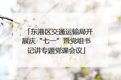 东港区交通运输局开展庆“七一”暨党组书记讲专题党课会议