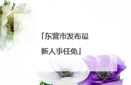 东营市发布最新人事任免