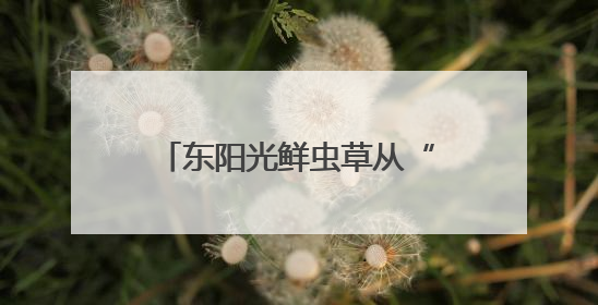 东阳光鲜虫草从“补”到“养”，冬虫夏草在现代养生中的新打开方式