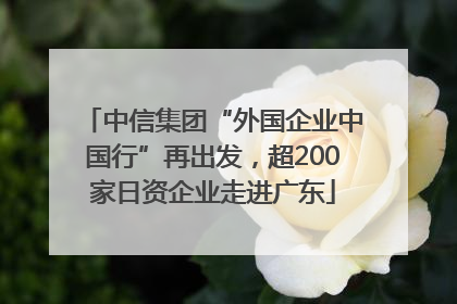 中信集团“外国企业中国行”再出发，超200家日资企业走进广东
