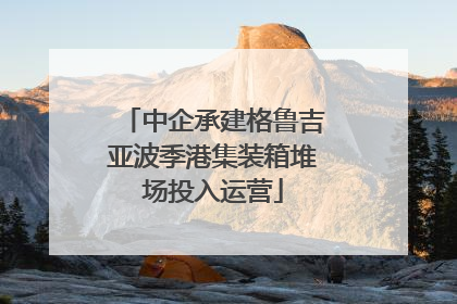 中企承建格鲁吉亚波季港集装箱堆场投入运营