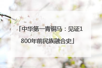 中华第一青铜马：见证1800年前民族融合史