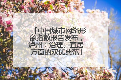 中国城市网络形象指数报告发布，泸州：治理、宜居方面的双优典范
