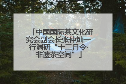 中国国际茶文化研究会副会长张仲灿一行调研“十二月令·非遗茶空间”