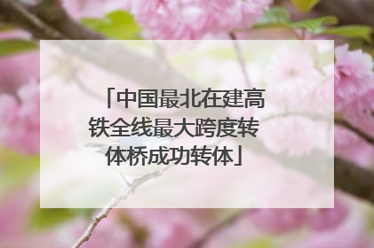 中国最北在建高铁全线最大跨度转体桥成功转体