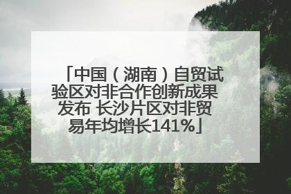 中国（湖南）自贸试验区对非合作创新成果发布 长沙片区对非贸易年均增长141%