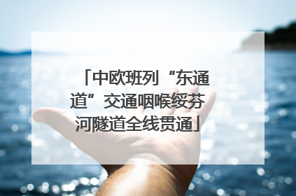 中欧班列“东通道”交通咽喉绥芬河隧道全线贯通