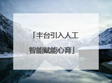 丰台引入人工智能赋能心育