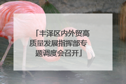 丰泽区内外贸高质量发展指挥部专题调度会召开