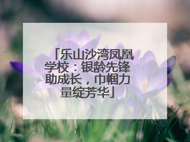 乐山沙湾凤凰学校：银龄先锋助成长，巾帼力量绽芳华