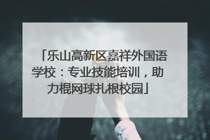 乐山高新区嘉祥外国语学校：专业技能培训，助力棍网球扎根校园