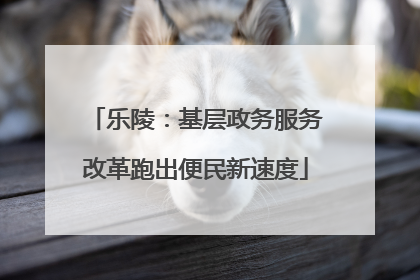 乐陵：基层政务服务改革跑出便民新速度