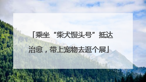 乘坐“柴犬馒头号”抵达治愈，带上宠物去逛个展