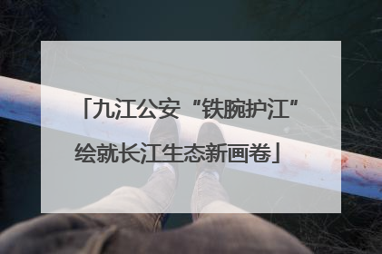 九江公安“铁腕护江”绘就长江生态新画卷