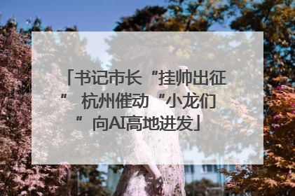 书记市长“挂帅出征” 杭州催动“小龙们”向AI高地进发