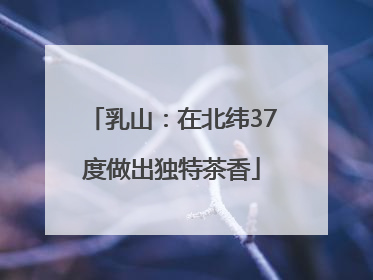 乳山：在北纬37度做出独特茶香