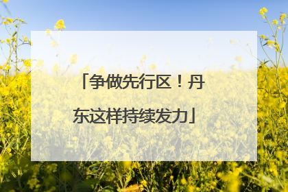 争做先行区！丹东这样持续发力