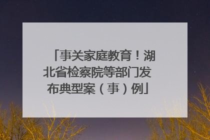 事关家庭教育！湖北省检察院等部门发布典型案（事）例