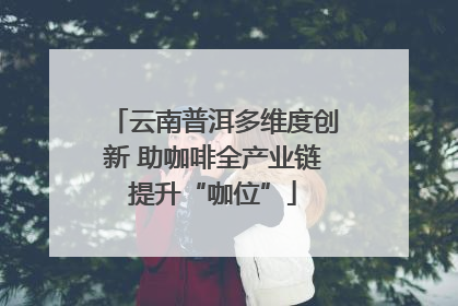 云南普洱多维度创新 助咖啡全产业链提升“咖位”