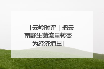 云岭时评｜把云南野生菌流量转变为经济增量