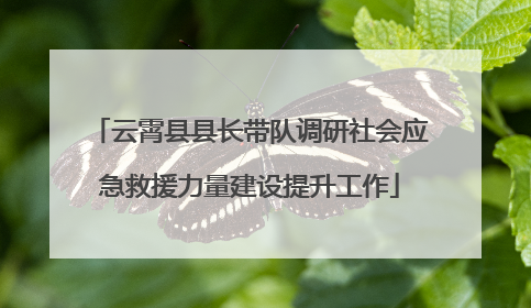 云霄县县长带队调研社会应急救援力量建设提升工作