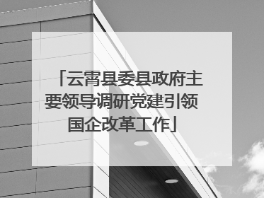 云霄县委县政府主要领导调研党建引领国企改革工作