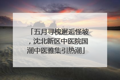五月寻槐邂逅怪坡，沈北新区中医院国潮中医雅集引热潮