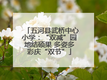 五河县武桥中心小学：“双减”园地结硕果 多姿多彩庆“双节”