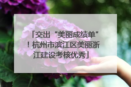 交出“美丽成绩单”！杭州市滨江区美丽浙江建设考核优秀