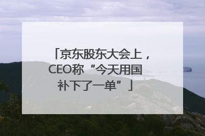 京东股东大会上，CEO称“今天用国补下了一单”